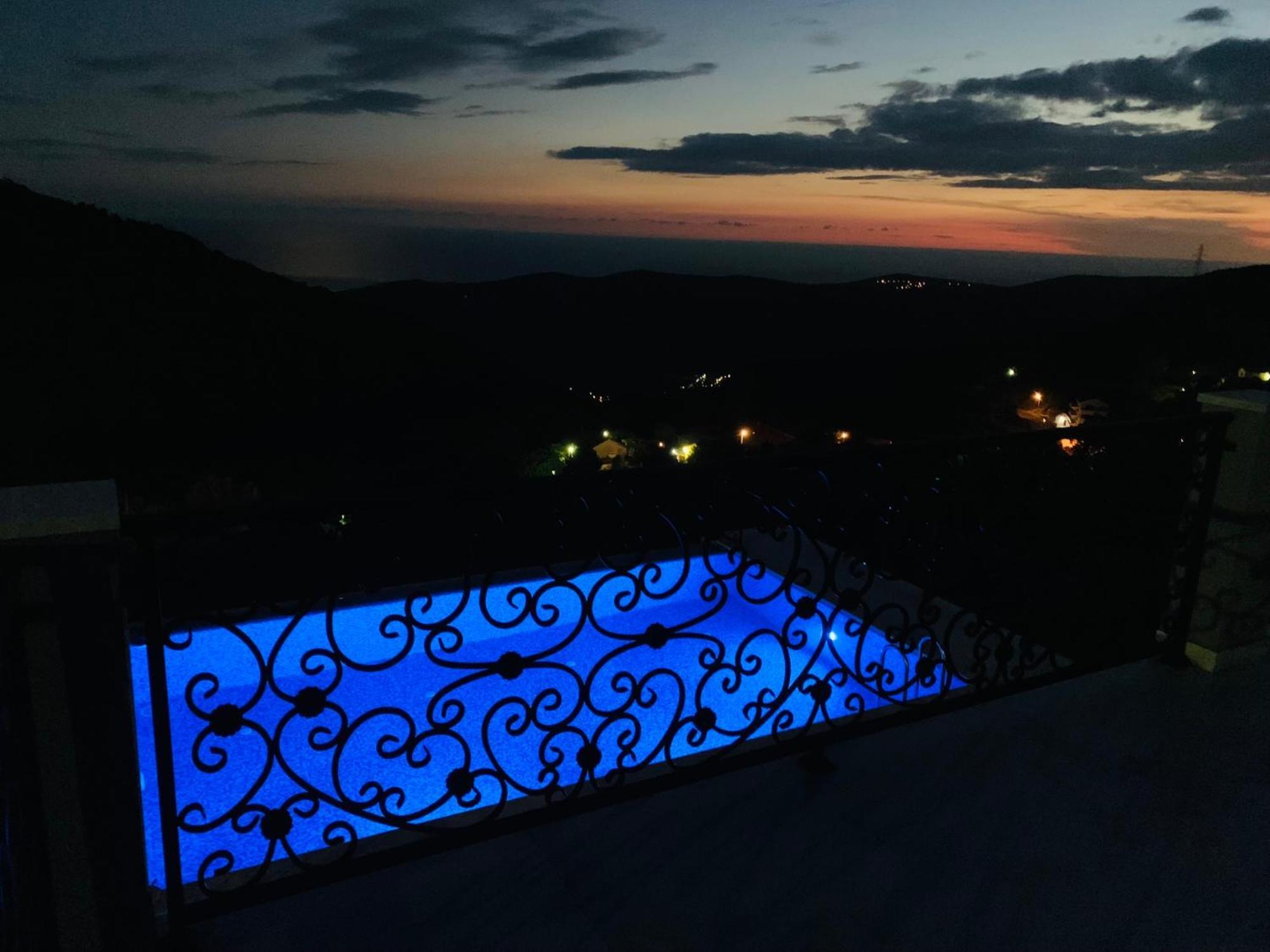 Vuk Budva